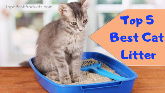 best cat litter