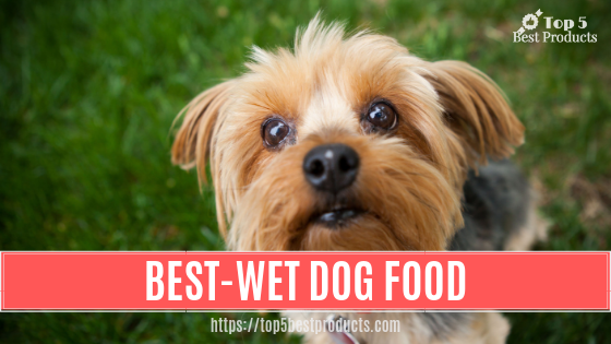 Best Wet Dog Food 13
