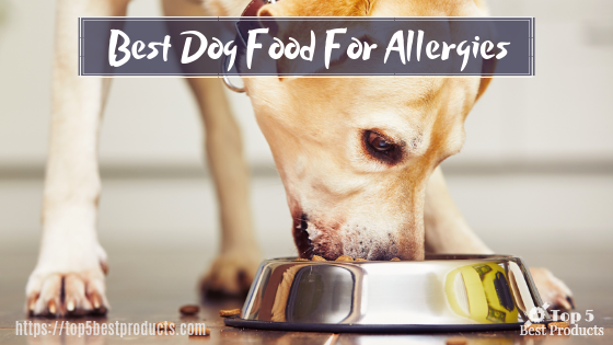 Best Dog Food For Allergies 8