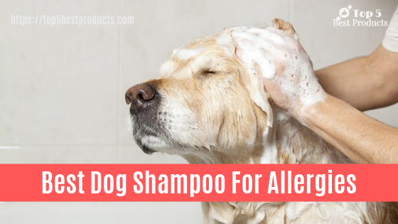 Best Dog Shampoo For Allergies 14