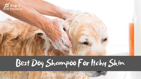 Best Dog Shampoo For Itchy Skin 14