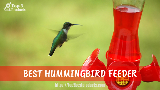 Your Guide to buying the best hummingbird feeder 15