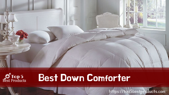Best Down Comforter 11